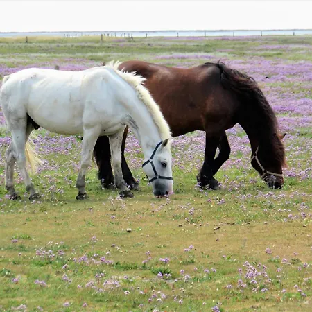 Διαμέρισμα Haus Delft Jakea *