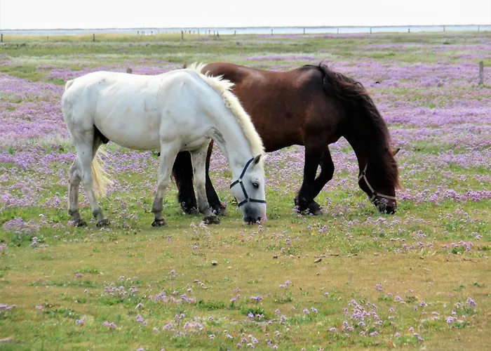 アパート Haus Delft Jakea *